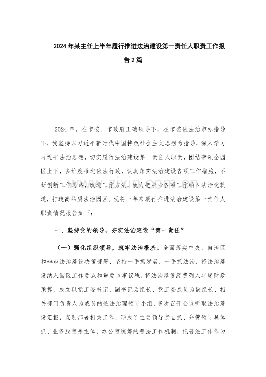 2024年某主任上半年履行推进法治建设第一责任人职责工作报告2篇.docx_第1页