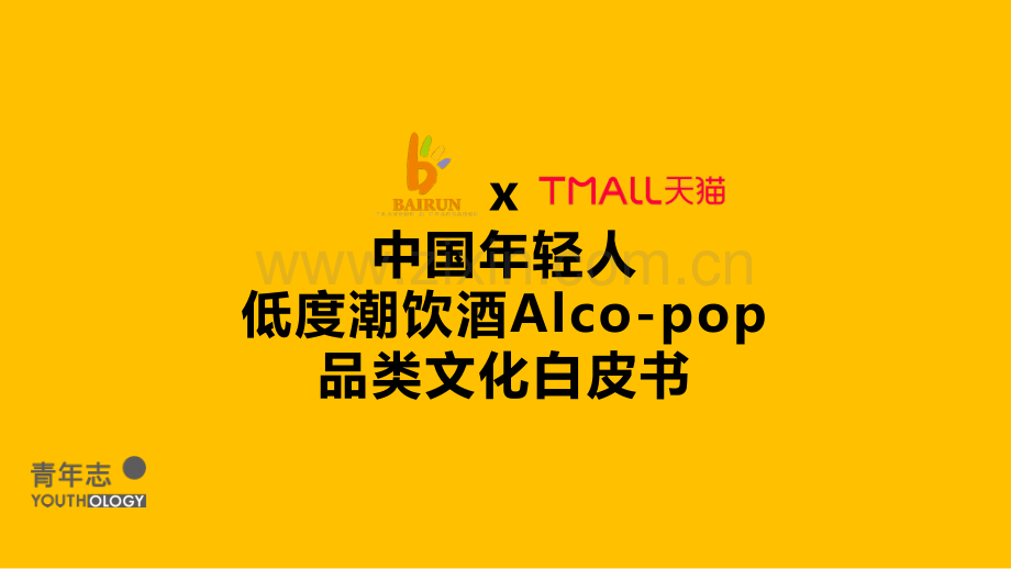 中国年轻人低度潮饮酒Alco-pop品类文化白皮书.pdf_第1页