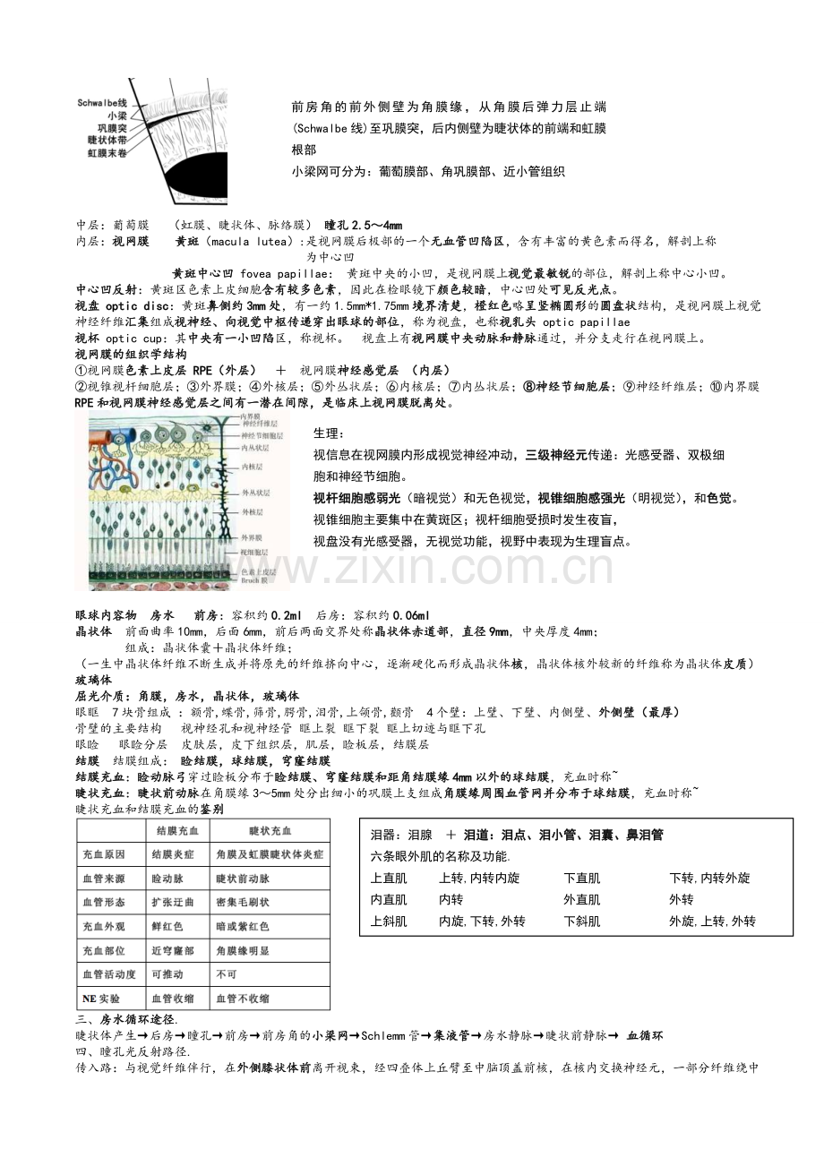 眼科学重点总结人卫第八版(终极版).doc_第2页