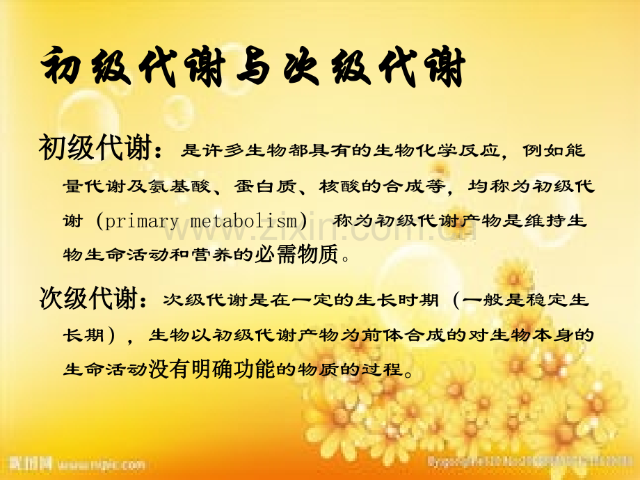次级代谢产物全.ppt_第1页