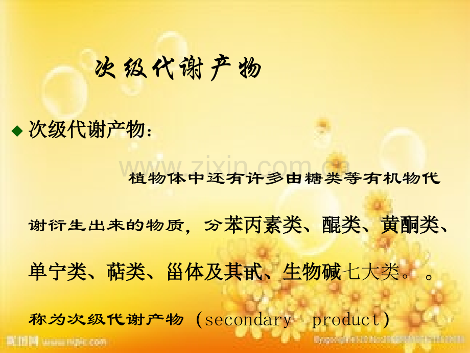 次级代谢产物全.ppt_第2页