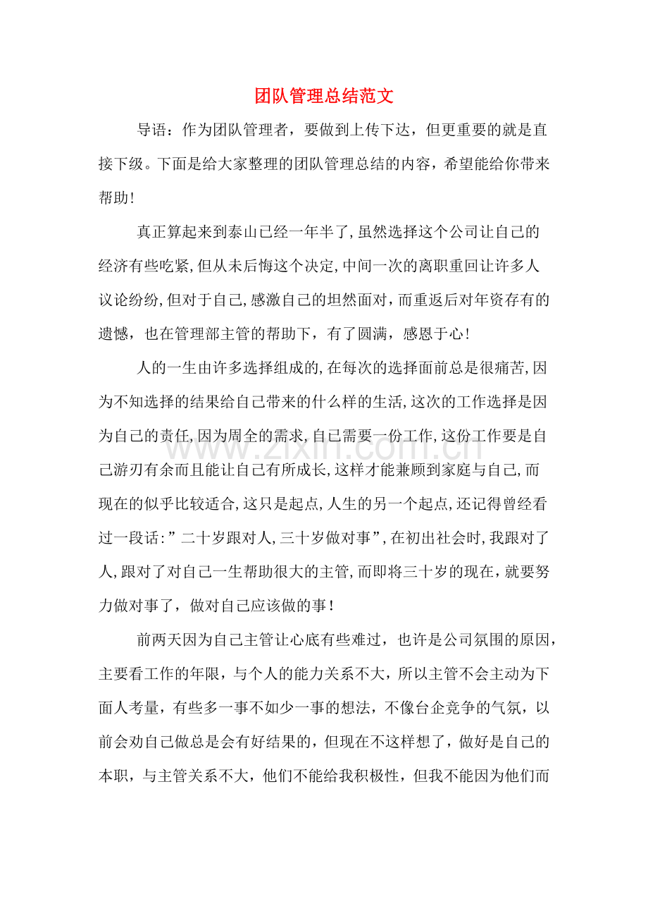 2019年团队管理总结范文.doc_第1页