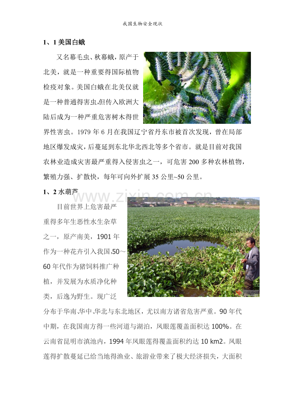 我国生物安全现状.doc_第2页
