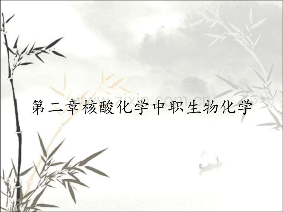 第二章核酸化学中职生物化学.pptx_第1页