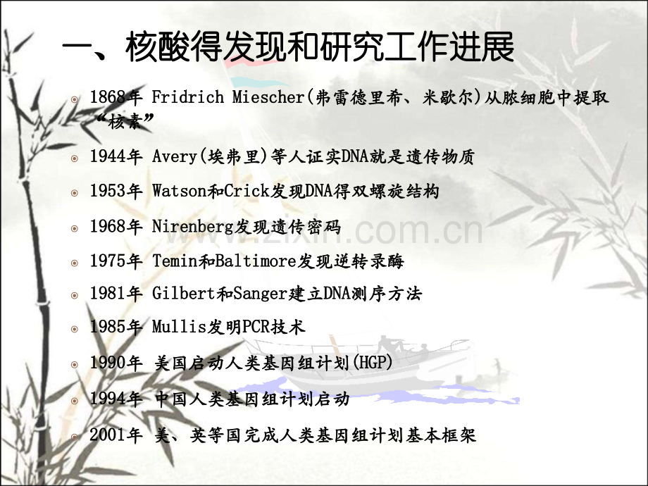 第二章核酸化学中职生物化学.pptx_第2页