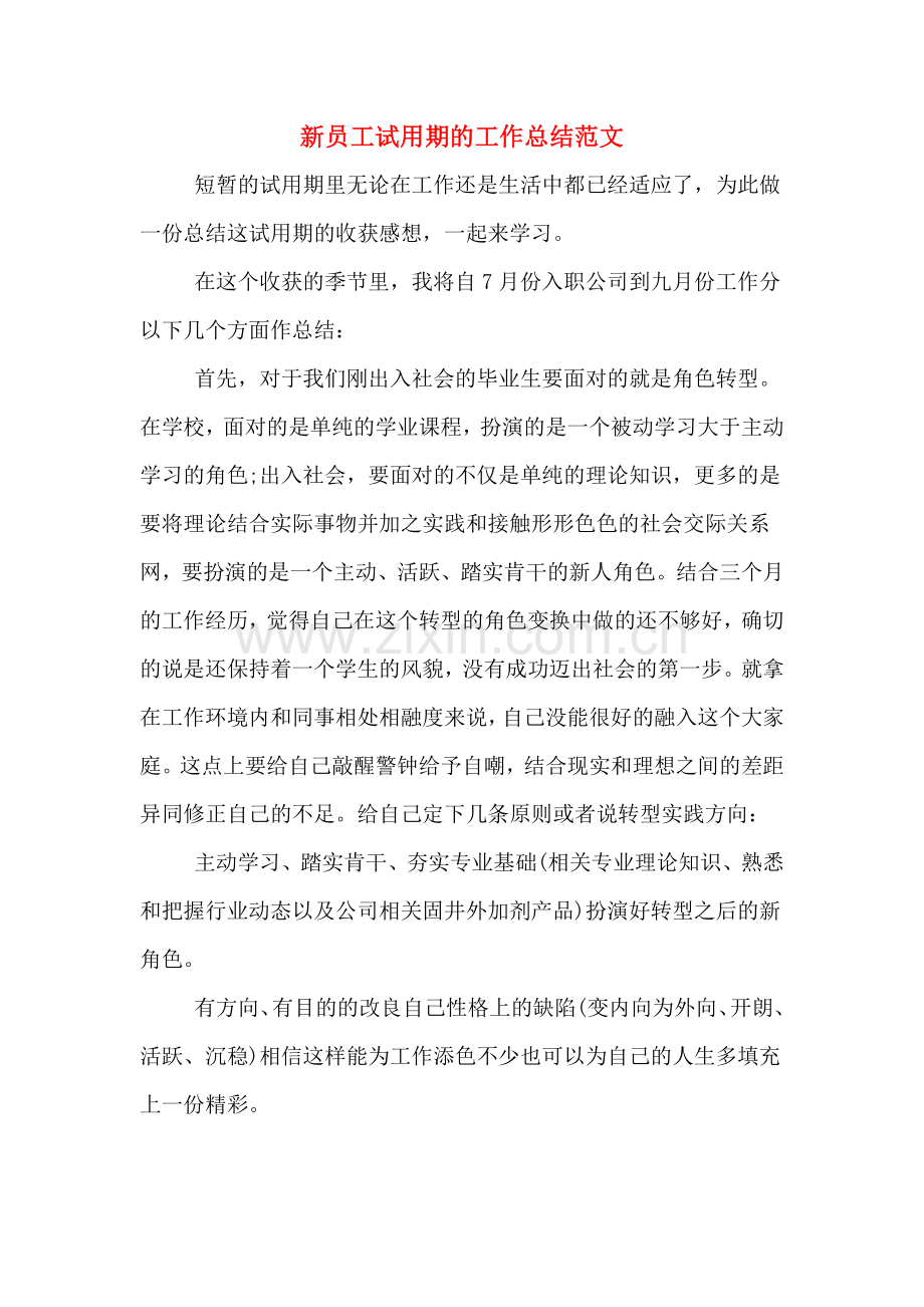 2019年新员工试用期的工作总结范文.doc_第1页