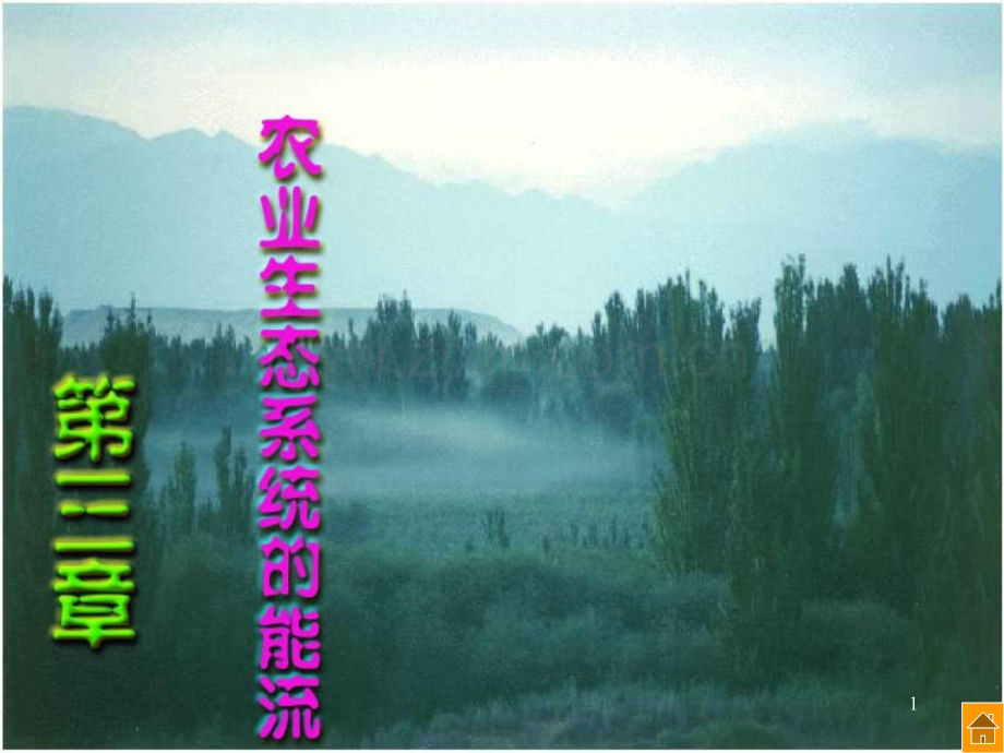 农业生态系统的能流-PPT.ppt_第1页