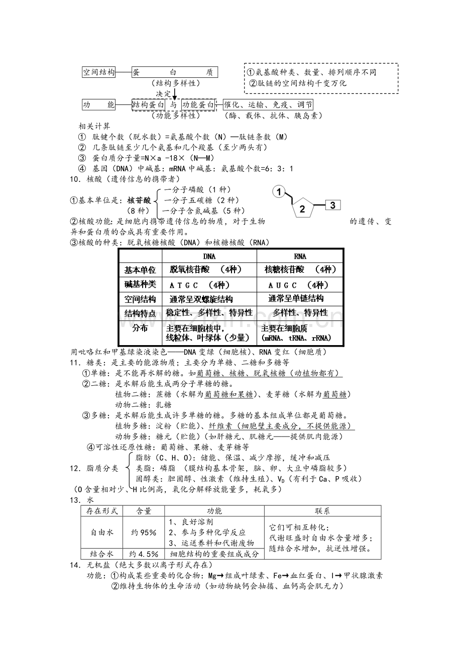 高一生物必修一知识点整理.doc_第2页