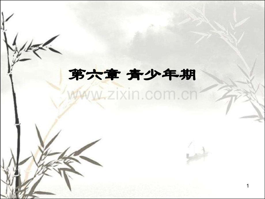 青少年期课件.ppt_第1页