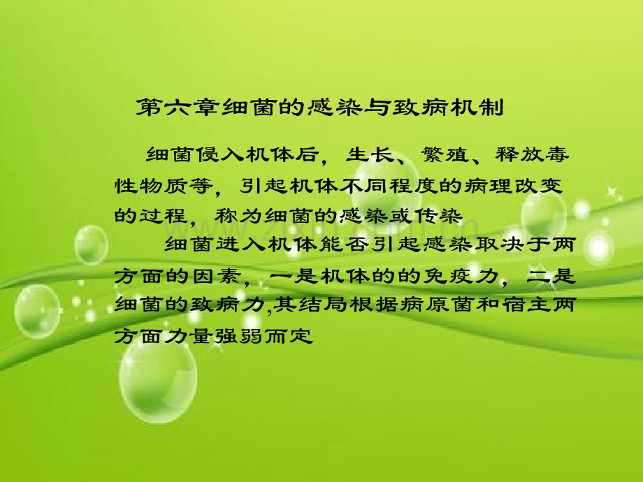 细菌的感染与致病机制-PPT.ppt_第2页