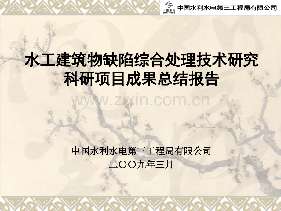 水工建筑物缺陷综合处理技术研究.ppt_第1页