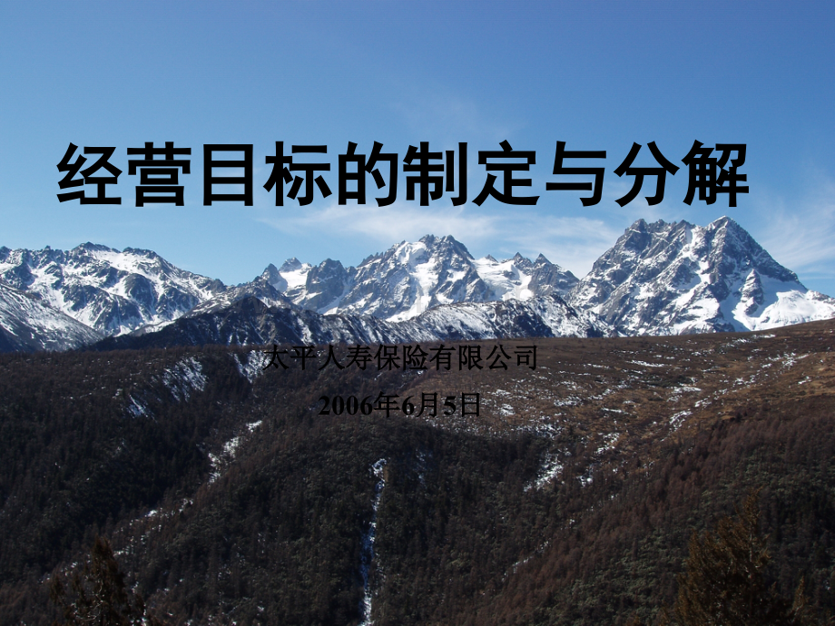 经营目标的制定与分解分解.ppt_第1页