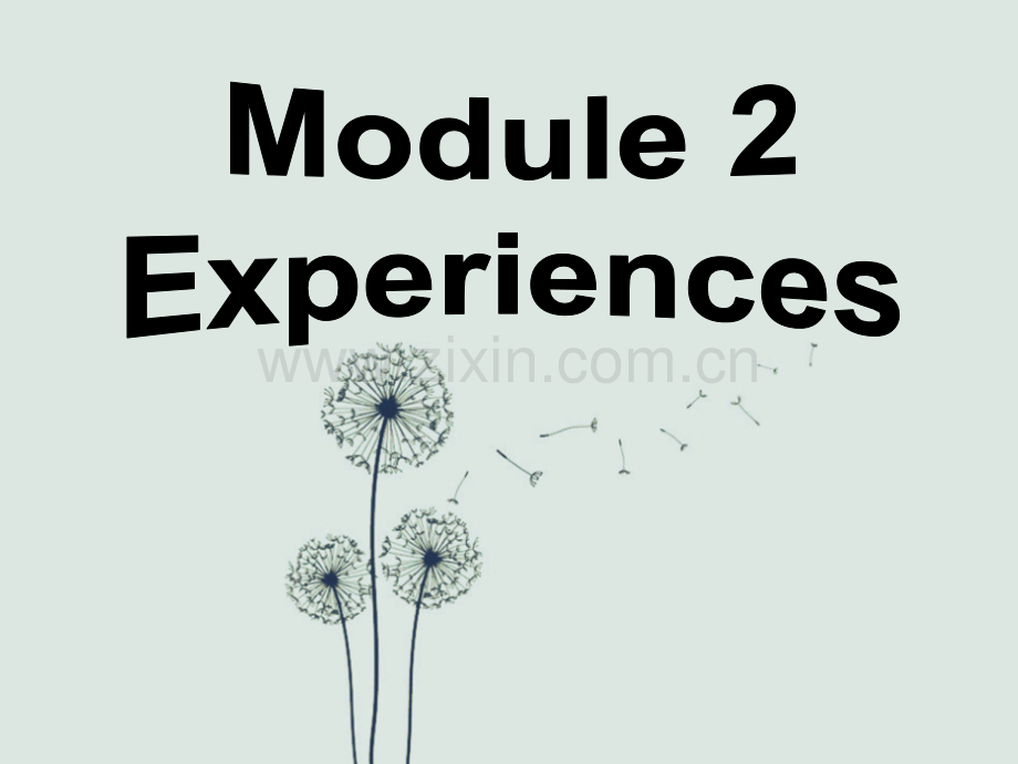 外研版八年级下册英语M2U3.ppt_第1页