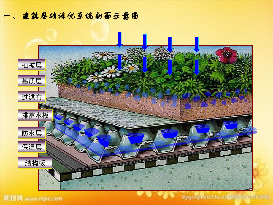 建筑绿化新技术及应用.ppt_第2页