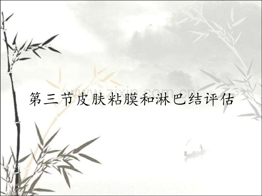 第三节皮肤粘膜和淋巴结评估.pptx_第1页