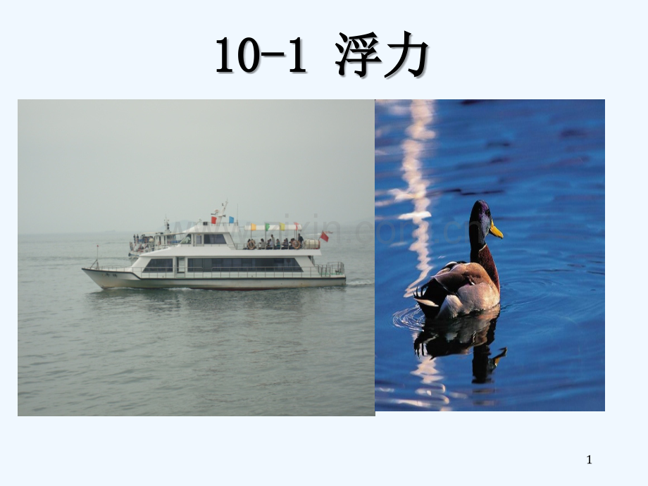 人教版浮力-PPT.ppt_第1页