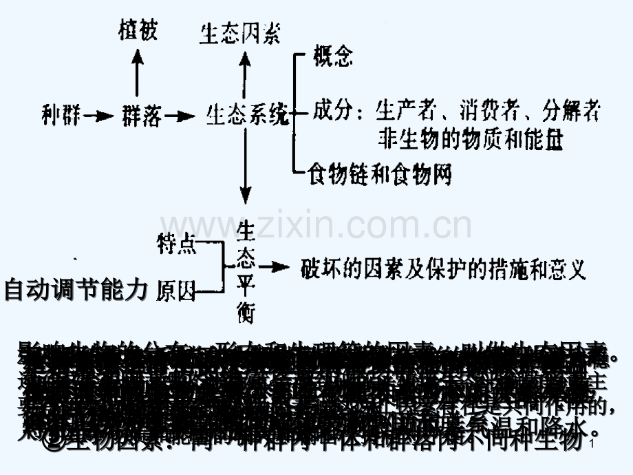 生态因素-PPT课件.ppt_第1页