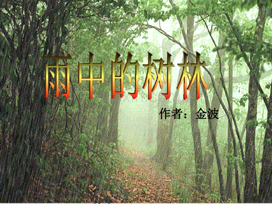 雨中的树林.ppt_第1页