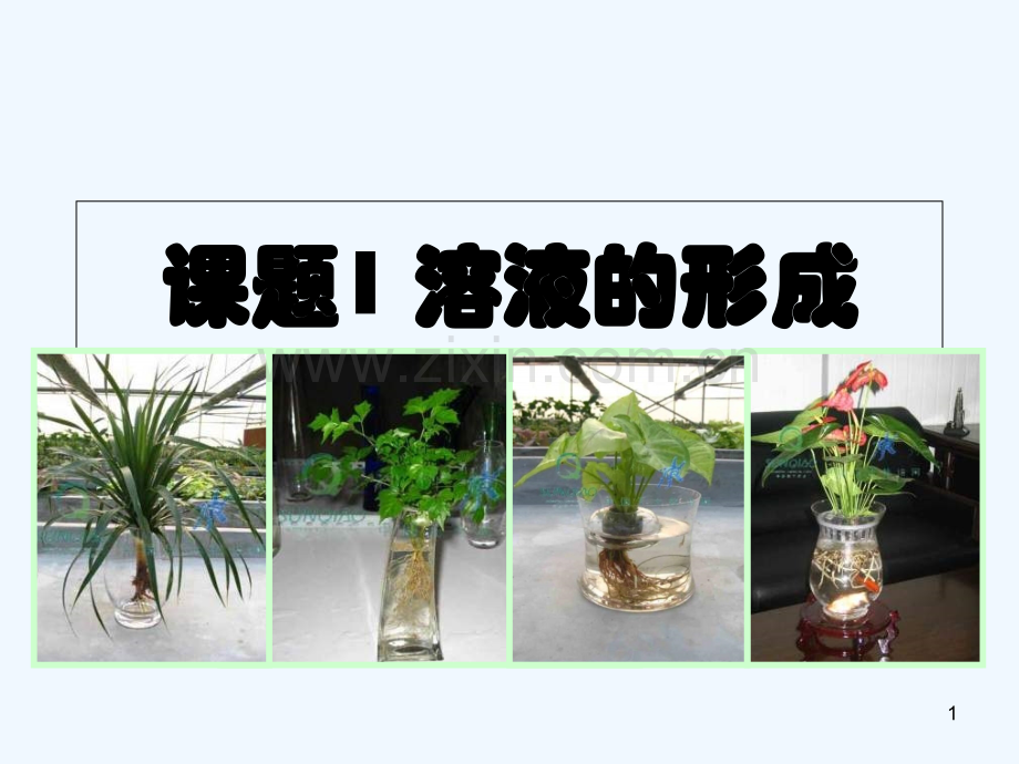 溶液的形成复习-PPT课件.ppt_第1页