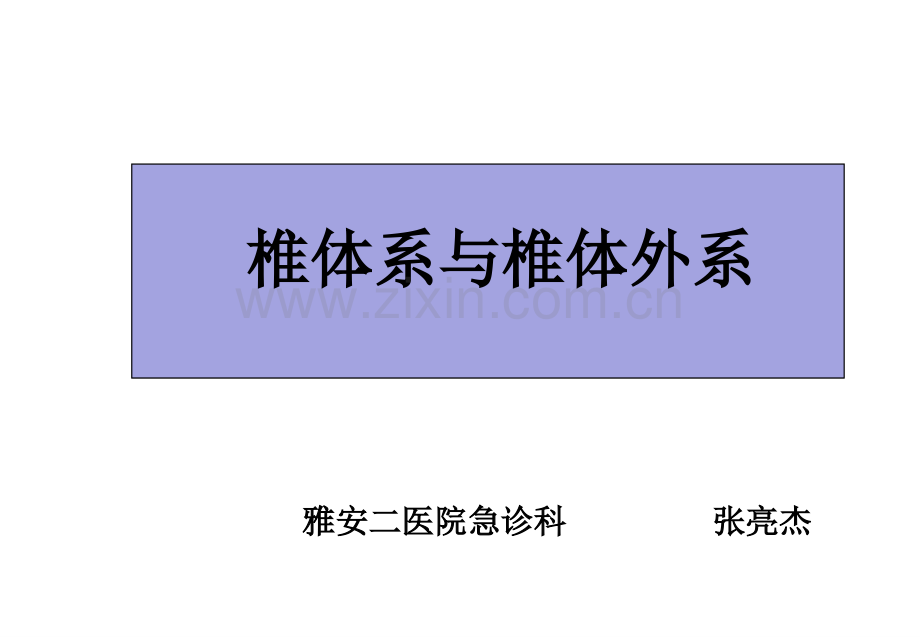 椎体系与椎体外系.ppt_第1页
