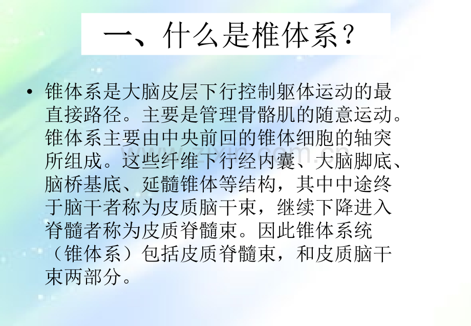 椎体系与椎体外系.ppt_第2页