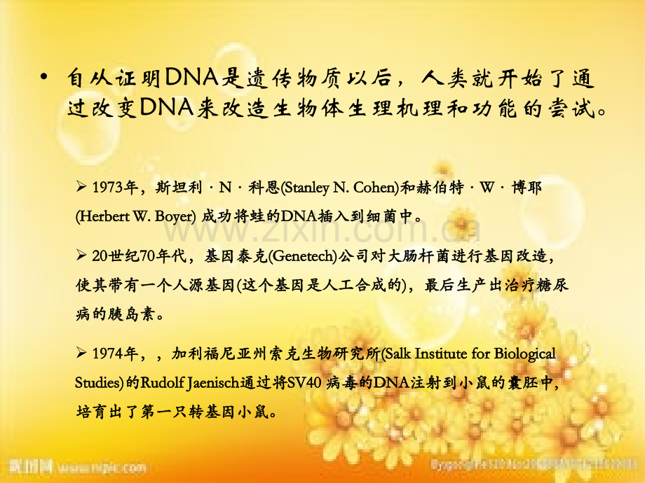 基因组编辑技术专题.ppt_第2页