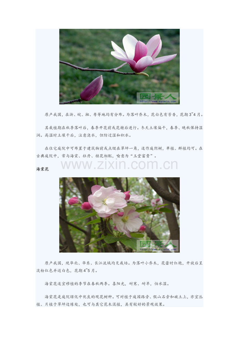 北方庭院植物配置常用花草树木.doc_第2页
