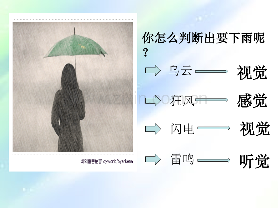眼的结构.ppt_第2页