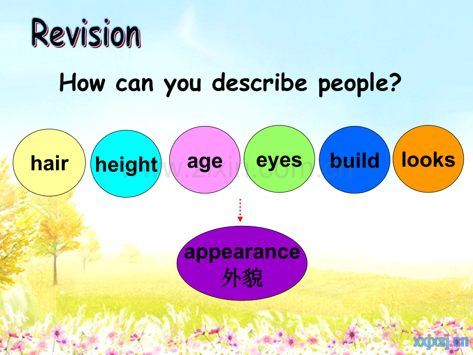 英语描述人物课件.ppt_第2页