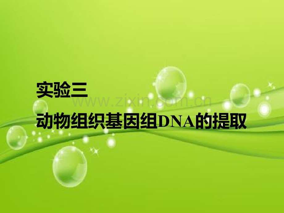 动物组织基因组DNA的提取-PPT.ppt_第2页