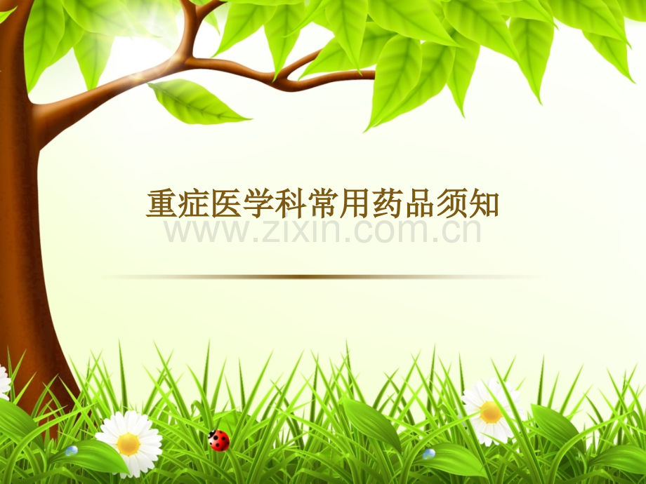重症医学科常用药物用药须知-.ppt_第1页