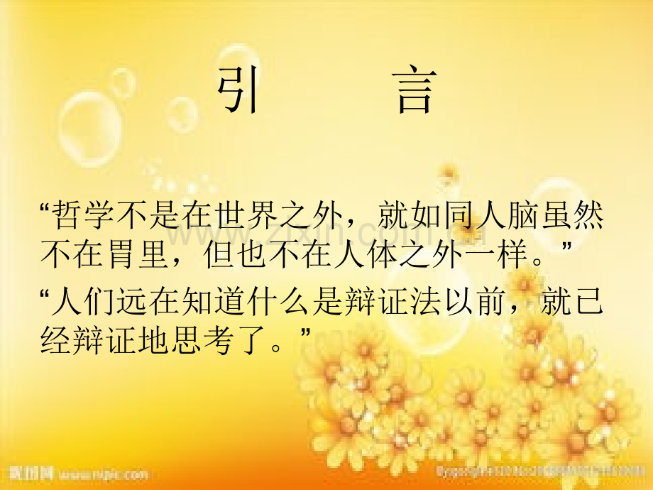 生活中的哲学.ppt_第2页