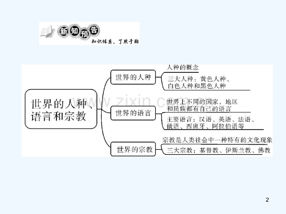 世界的人种语言和宗教-PPT课件.ppt_第2页