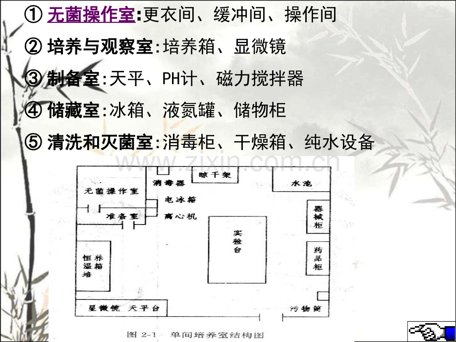 细胞培养的设施与基本条件.pptx_第2页