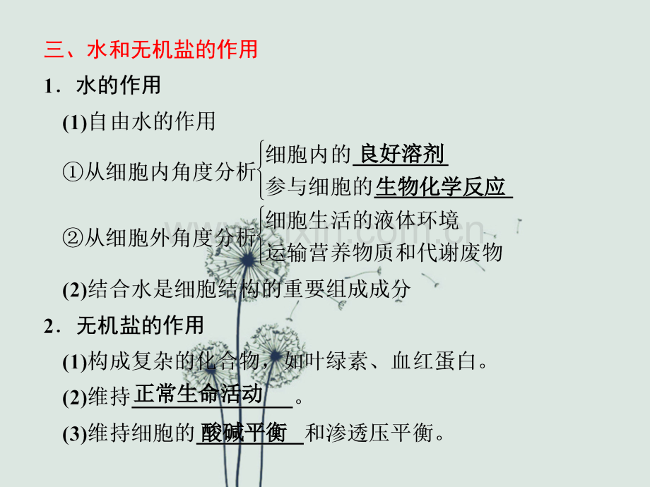 高三生物二轮复习专题一第一讲.ppt_第1页