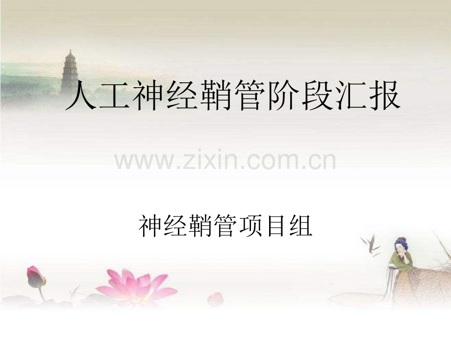 人工神经导管ppt.ppt_第1页