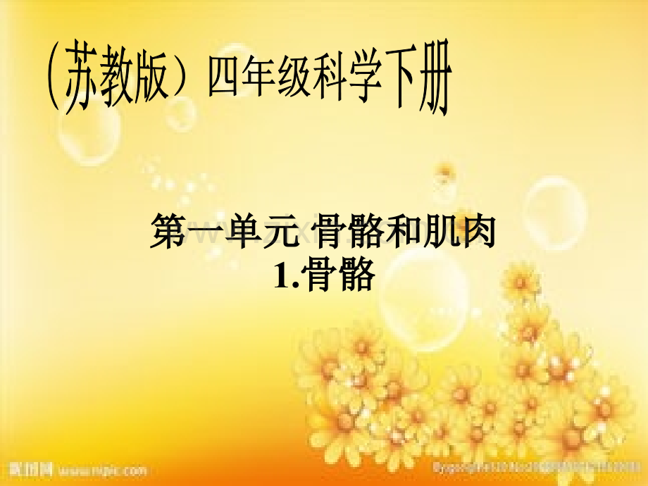 苏教版科学四年级下册第一单元《骨骼与肌肉》(超实惠).ppt_第1页