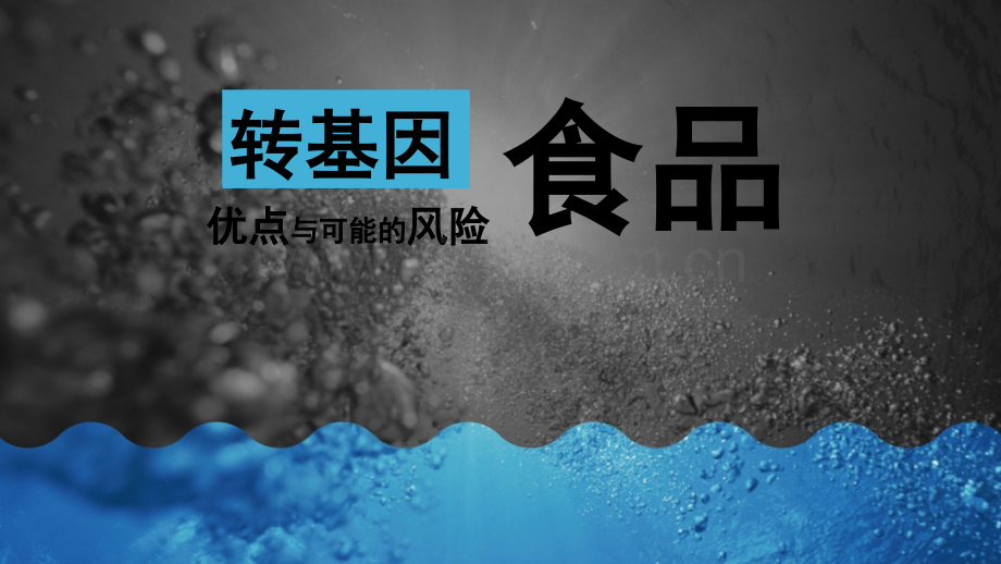转基因食品的优点和可能存在的风险-PPT.ppt_第1页