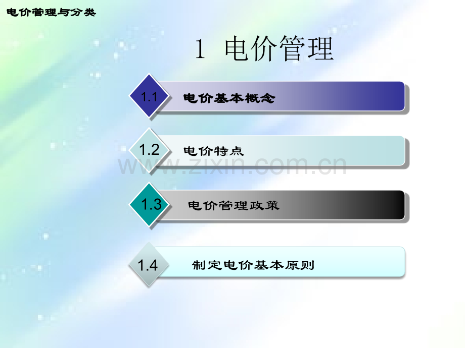 电价管理与分类--课件.ppt_第2页