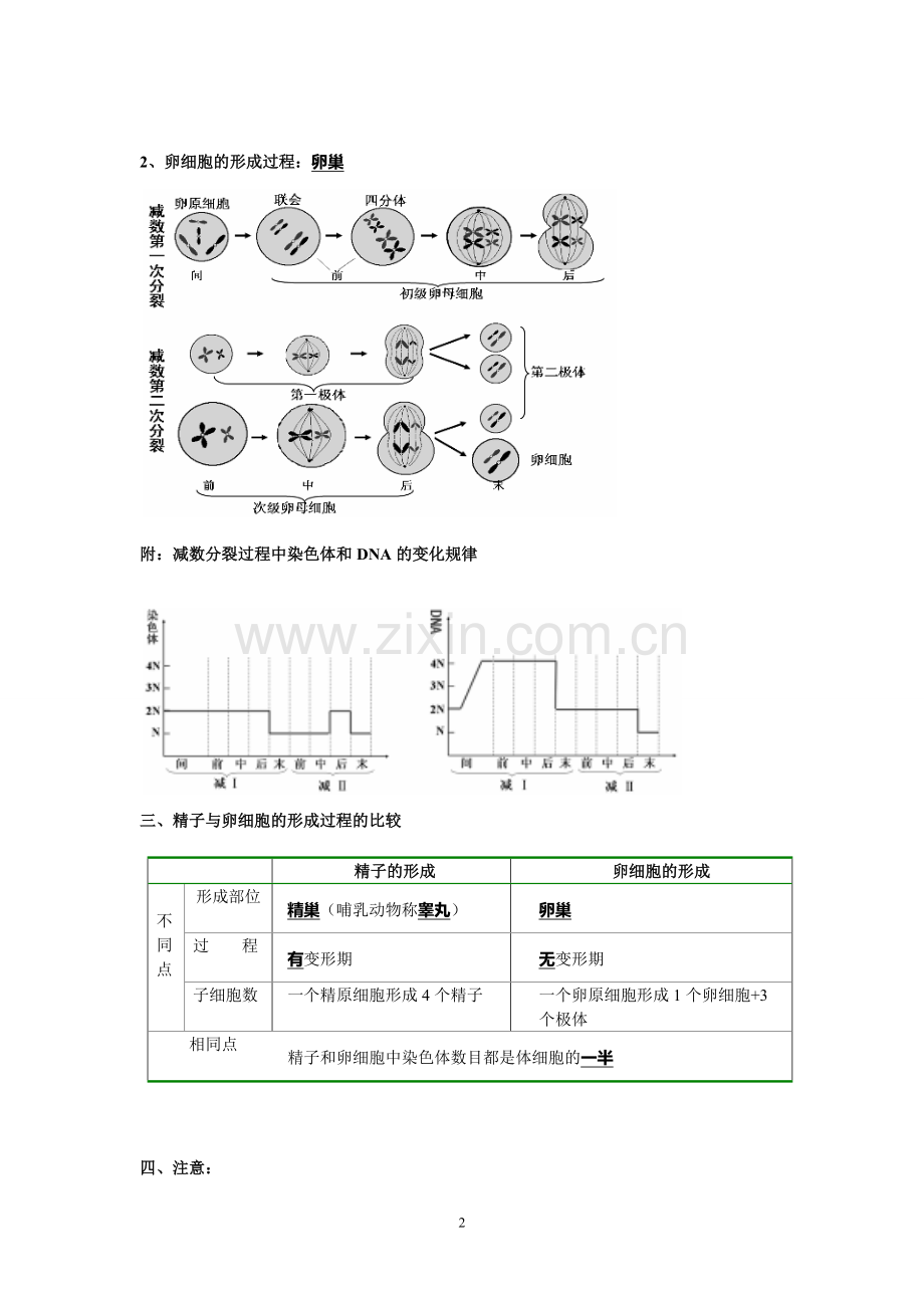 高中生物必修二知识点总结.doc_第2页