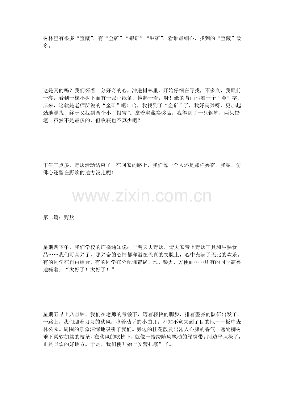 话题作文初中野炊作文600字(8篇).doc_第2页