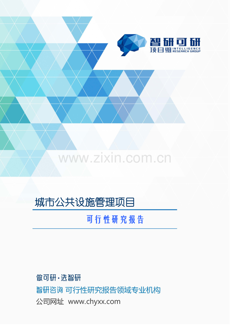 城市公共设施管理项目可行性研究报告.doc_第1页