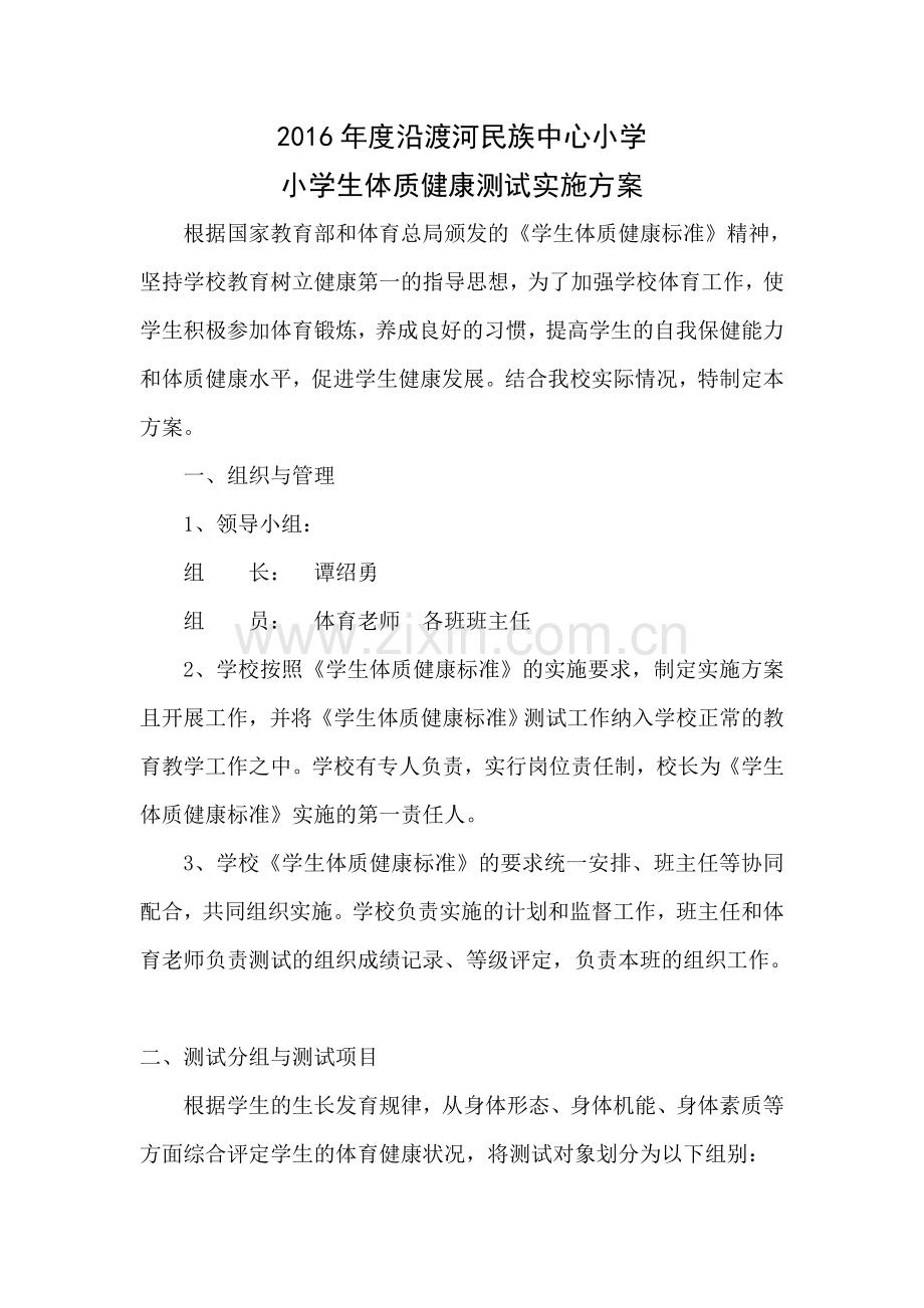 小学生体质健康测试实施方案.doc_第1页