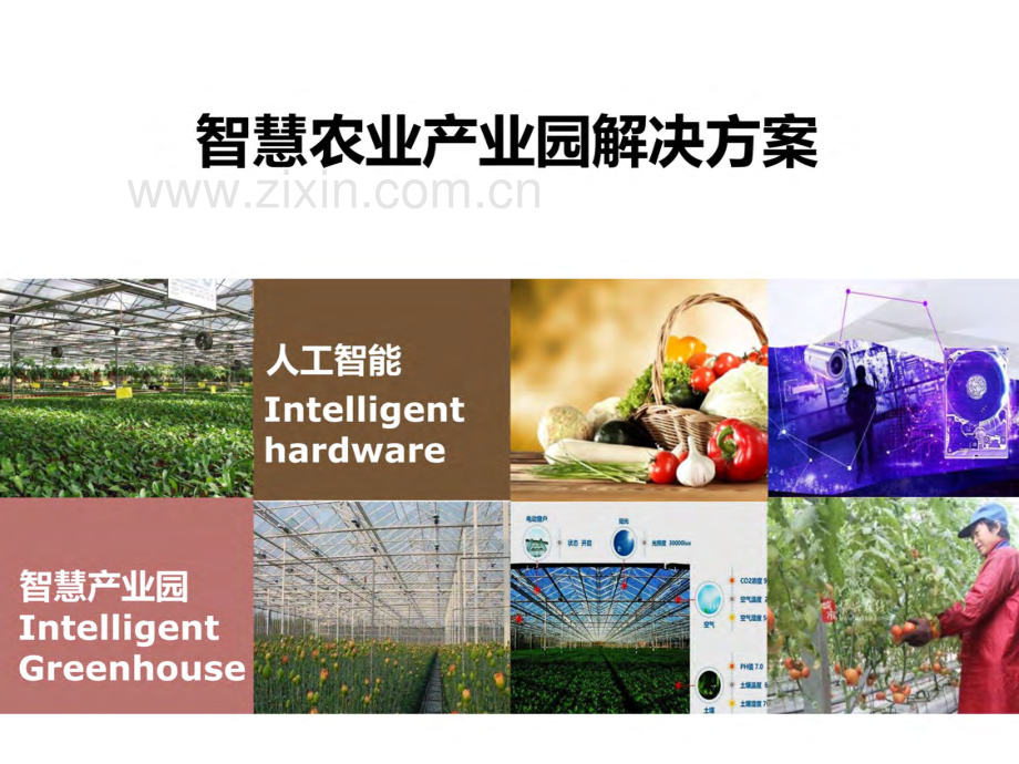 智慧农业产业园解决方案 .pdf_第1页