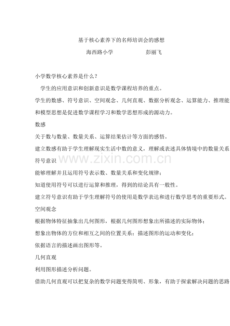 小学数学核心素养.doc_第1页