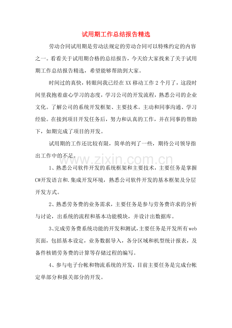 2020年试用期工作总结报告.doc_第1页