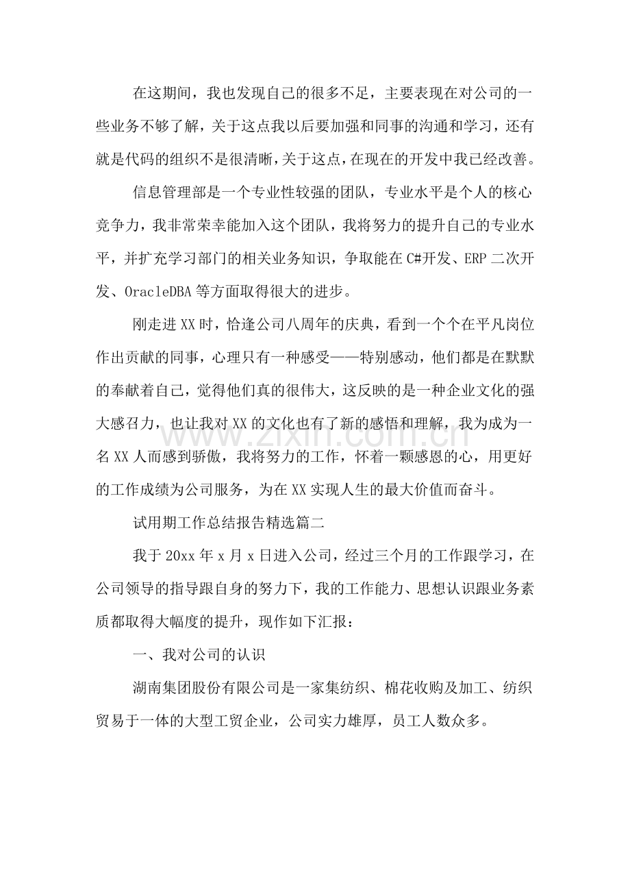 2020年试用期工作总结报告.doc_第2页