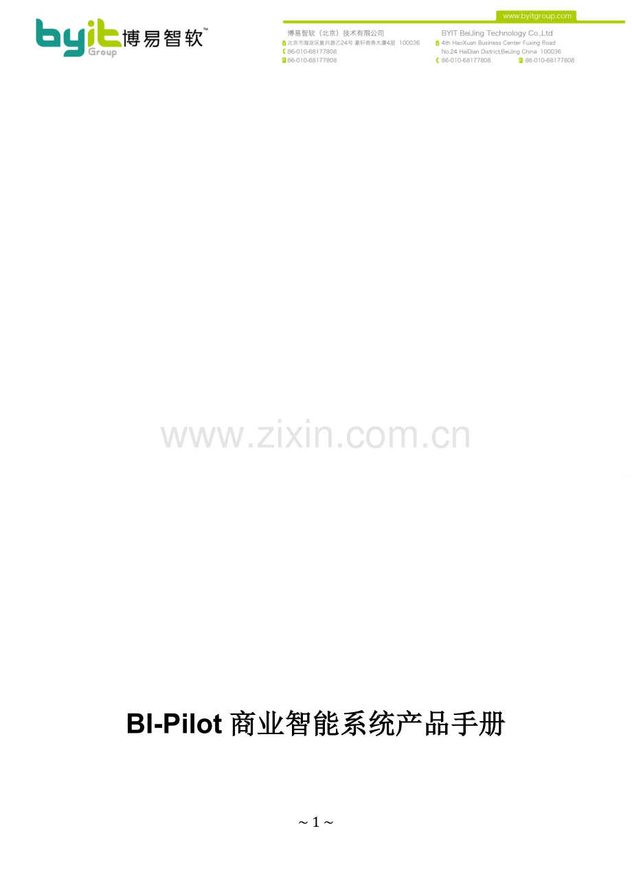 BI-Pilot商业智能系统.doc_第1页