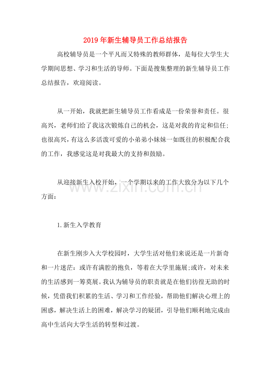 2019年新生辅导员工作总结报告.doc_第1页