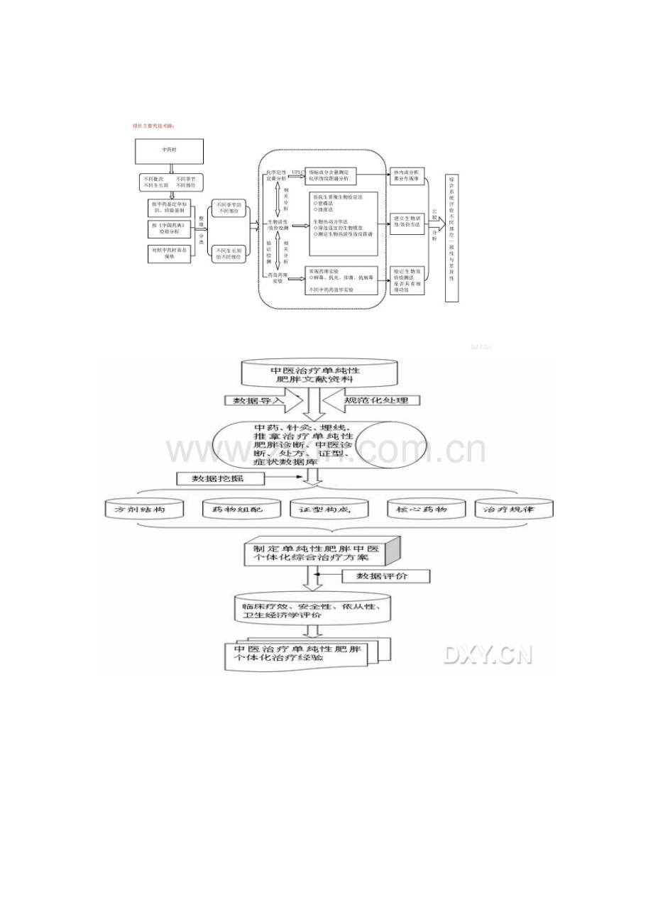 国家自然科学基金申请标书的技术路线图10个-简单就是美.doc_第1页